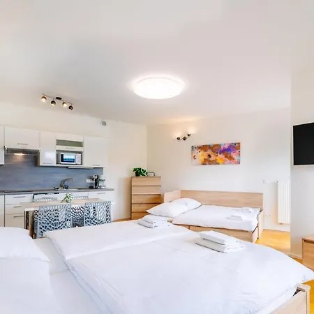 Apartment Horsky Temari 12 Klinovec *
